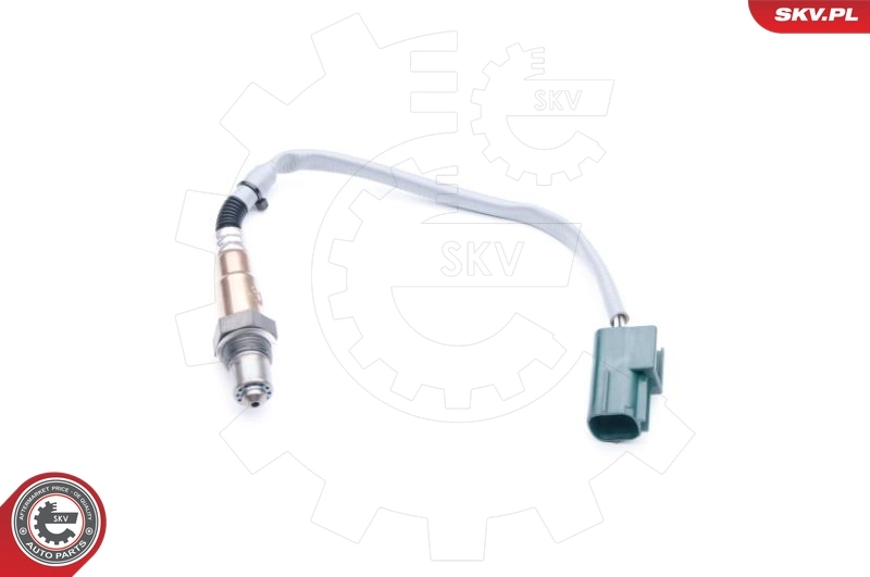 Oxygen Sensor